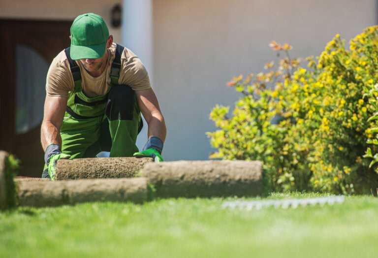 natural grass turfs installation job 2023 11 27 05 36 32 utc